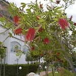 Hotel Zilema 3*