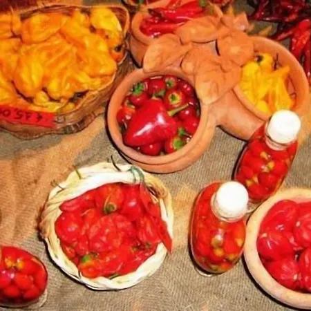 Zilema Guardia Piemontese Terme